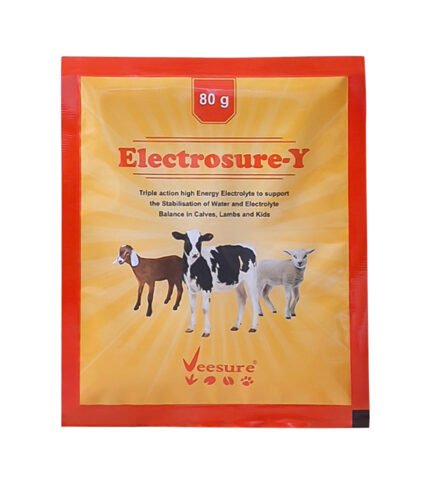 Electrosure-Y