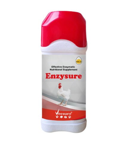 Enzysure (Liquid)
