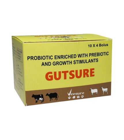 Gutsure Bolus