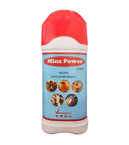 Minz Power