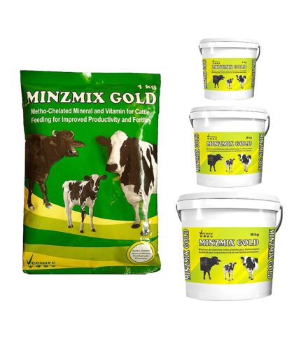 Minzmix Gold