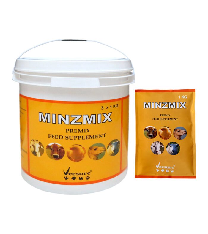 Minzmix
