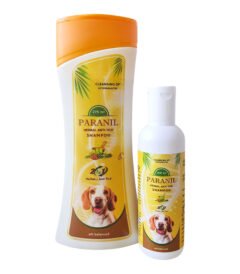 Paranil Shampoo