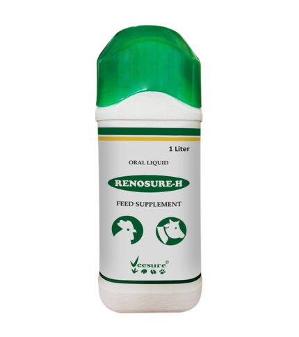 Renosure-H