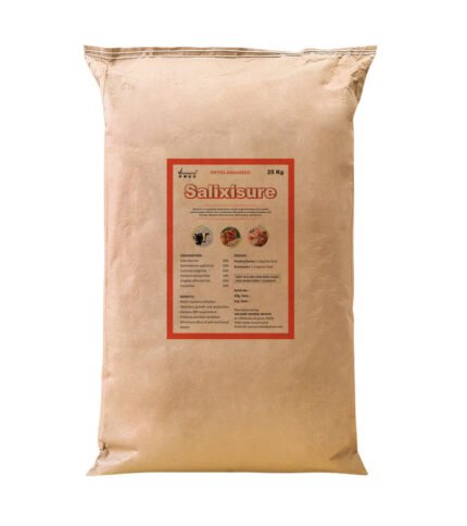 Salixisure