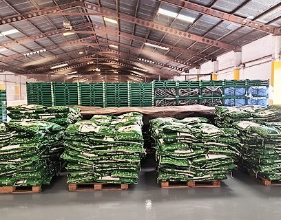 SUPPLY CHAIN SUPPLY CHAIN