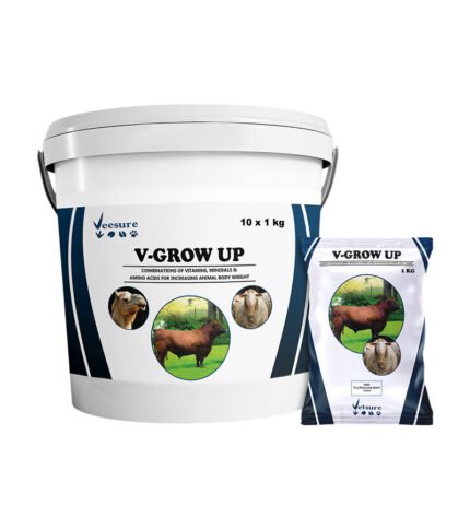 V-Grow Up