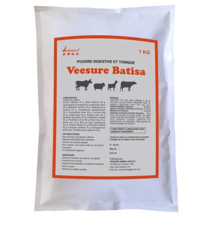 Veesure Batisa