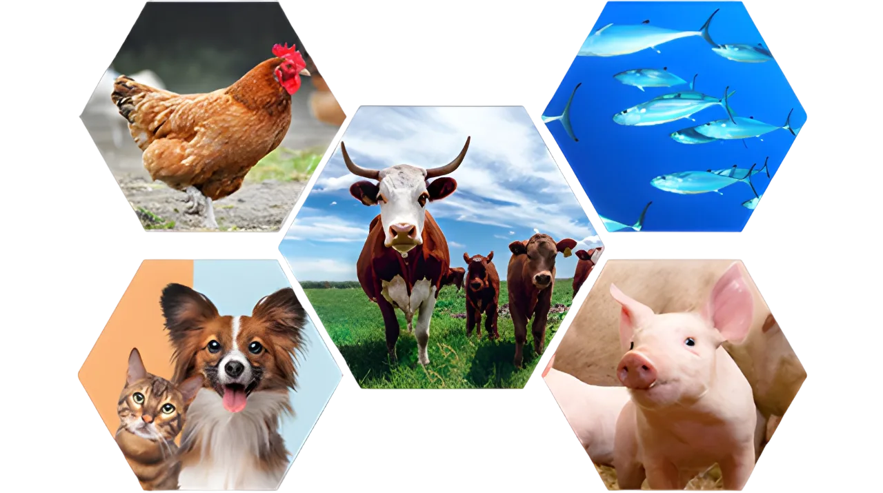 Veesure Animal Health