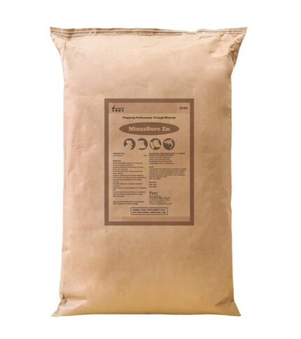 MinzaSure Zn